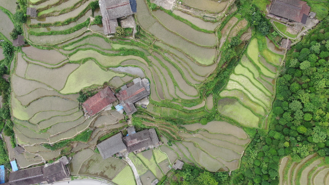旅游景区湖南紫鹊梯田航拍