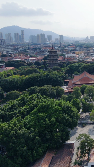 旅游景区福建泉州开元寺4A景区航拍