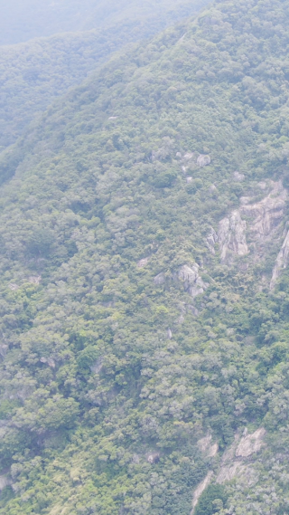 旅游景区福建清源山5A景区竖屏航拍