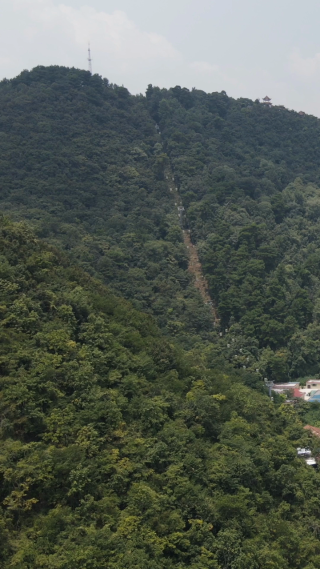 旅游景区贵州贵阳黔灵山4A景区