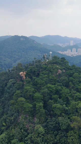 旅游景区贵州贵阳黔灵山4A景区
