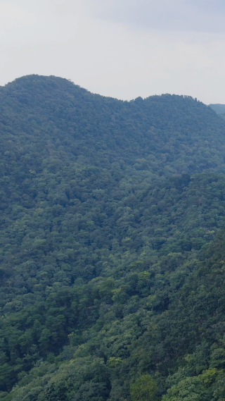 旅游景区贵阳黔灵山4A景区竖屏航拍