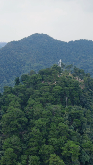 旅游景区贵阳黔灵山4A景区竖屏航拍