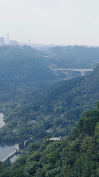 旅游景区贵阳黔灵山4A景区竖屏航拍