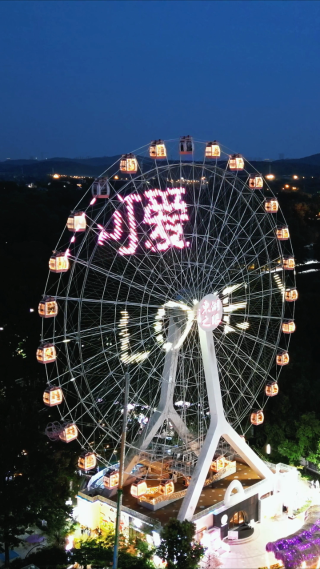 武汉东湖之眼摩天轮夜景竖屏航拍