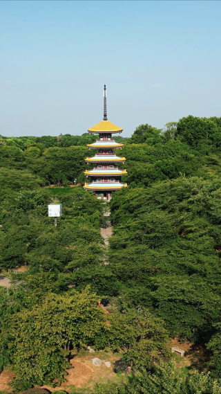 湖北武汉东湖5A景区五重塔竖屏航拍