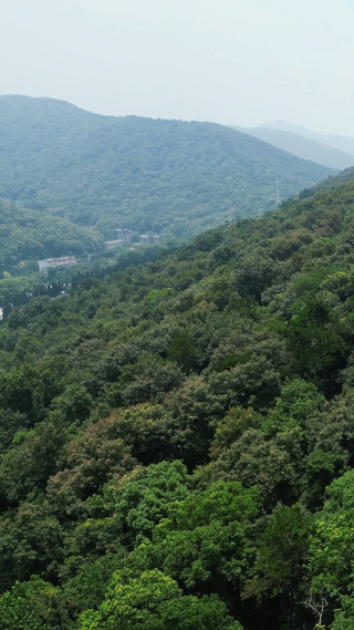 湖北襄阳烈士纪念碑竖屏航拍