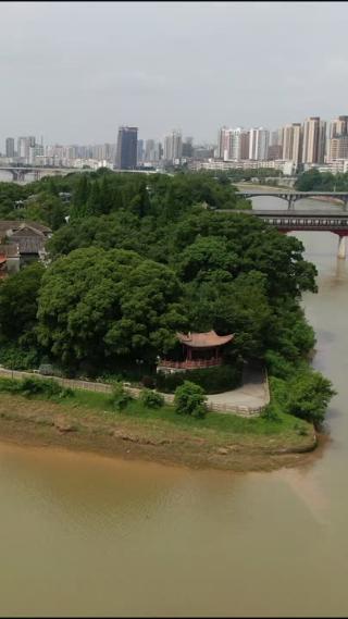 竖屏航拍江西吉安白鹭洲
