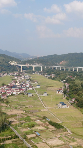 美丽乡村田园农业种植竖屏航拍