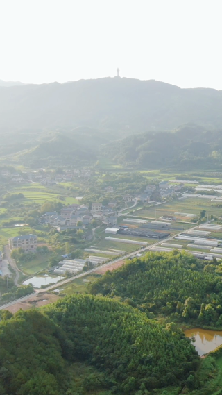 美丽乡村田园农业种植竖屏航拍