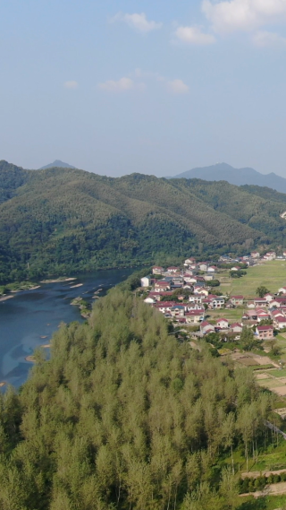 美丽乡村田园农业种植竖屏航拍