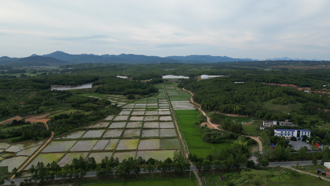 航拍乡村田园农业种植基地