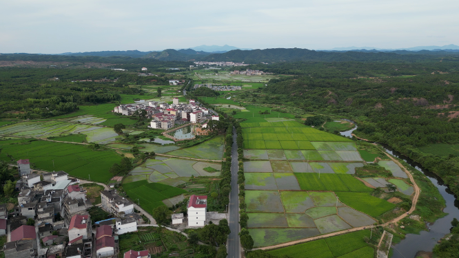 航拍乡村田园农业种植基地