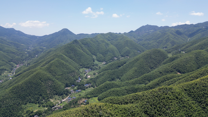 航拍南岳衡山5A景区竹林