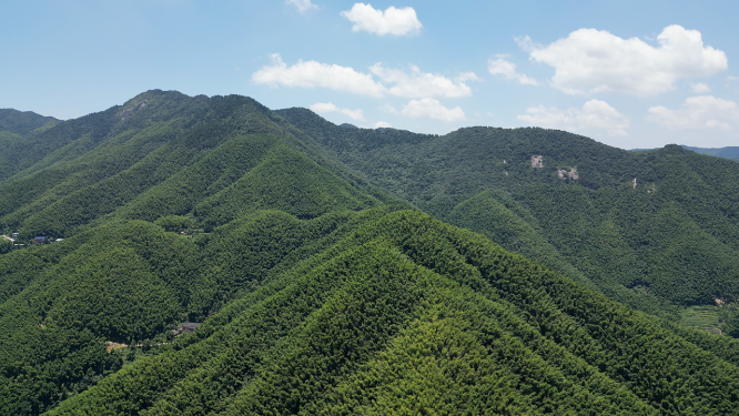 航拍南岳衡山5A景区竹林
