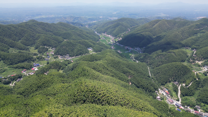航拍南岳衡山5A景区竹林