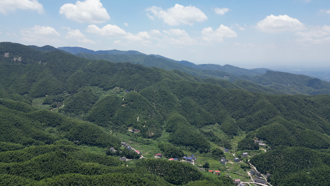 航拍南岳衡山5A景区竹林