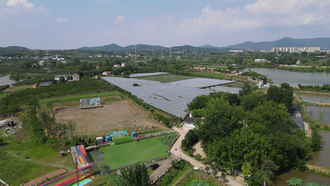 航拍夏日葡萄种植基地 