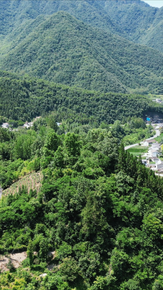 航拍大山中的公路竖屏