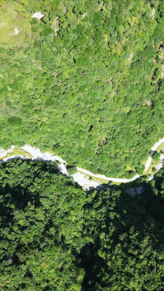 航拍大山中的公路竖屏