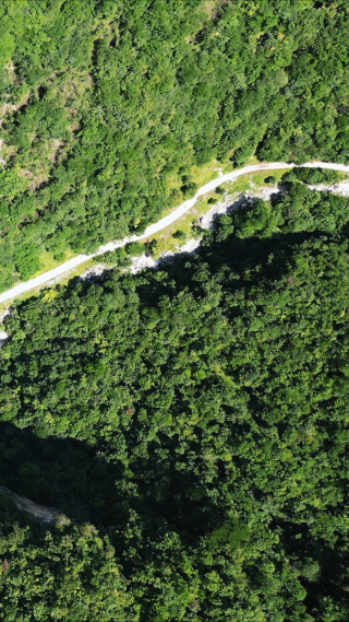 航拍大山中的公路竖屏