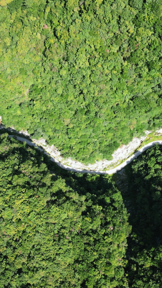 航拍大山中的公路竖屏