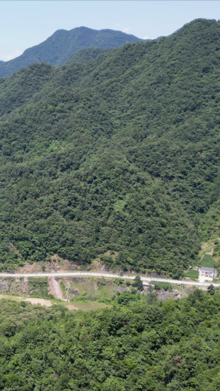 航拍大山中的公路竖屏