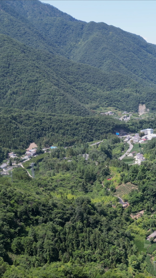 航拍大山山谷绿色植物