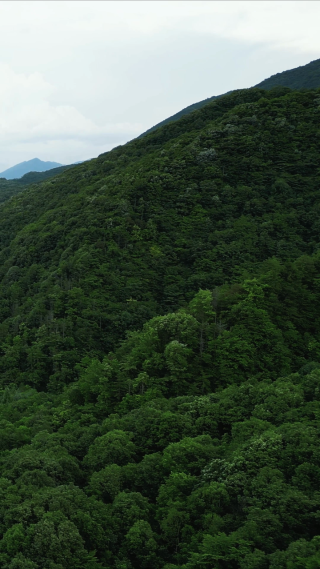 航拍大自然山川公路蓝天白云