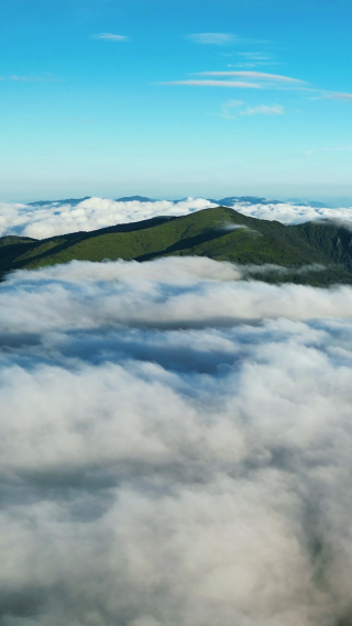 航拍大自然高山云海湖北神农架风景区