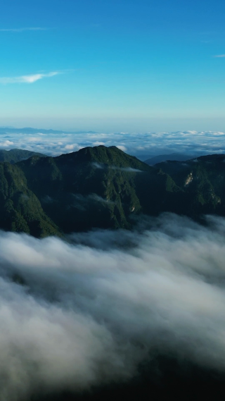航拍大自然高山云海湖北神农架风景区 