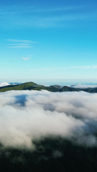 航拍大自然高山云海湖北神农架风景区