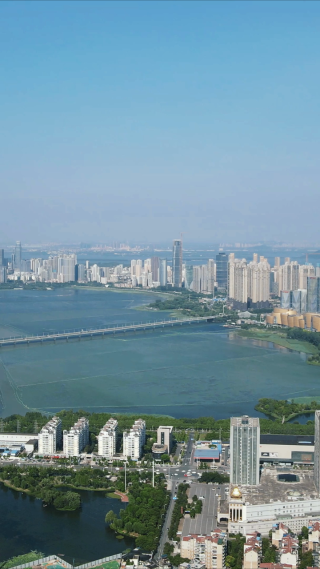 航拍湖北武汉沙湖片区高楼建筑竖屏