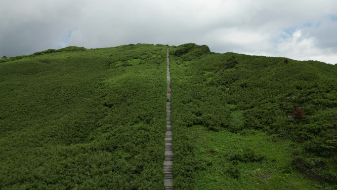 航拍湖北神农架5A景区
