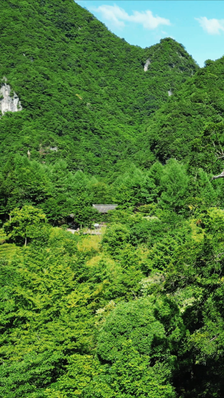 航拍湖北神农架5A景区关门山
