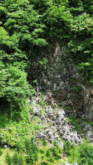 航拍湖北神农架5A景区关门山