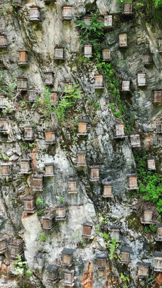 航拍湖北神农架5A景区关门山