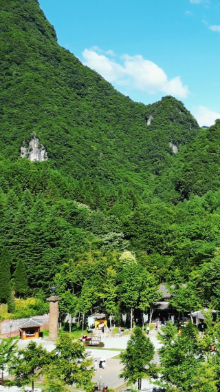 航拍湖北神农架5A景区神农坛竖屏