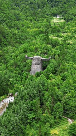 航拍湖北神农架5A景区神农坛竖屏