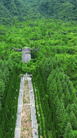 航拍湖北神农架5A景区神农坛竖屏