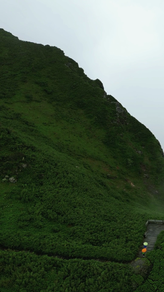 航拍湖北神农架5A景区神农谷云雾缭绕