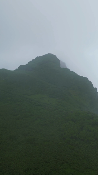 航拍湖北神农架5A景区神农谷云雾缭绕