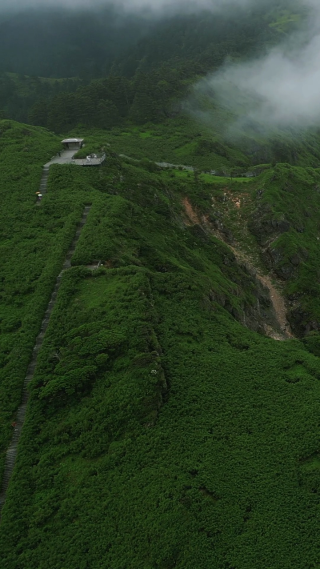 航拍湖北神农架5A景区神农谷云雾缭绕