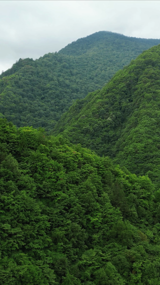 航拍湖北神农架5A景区