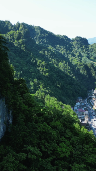 航拍湖北神农架山谷村庄竖屏