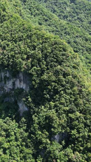 航拍湖北神龙大峡谷竖屏 