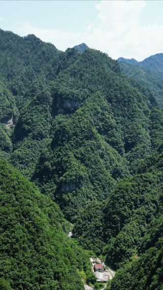 航拍湖北神龙大峡谷竖屏 