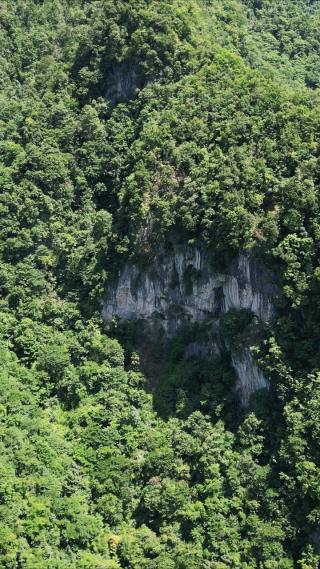 航拍湖北神龙大峡谷竖屏 