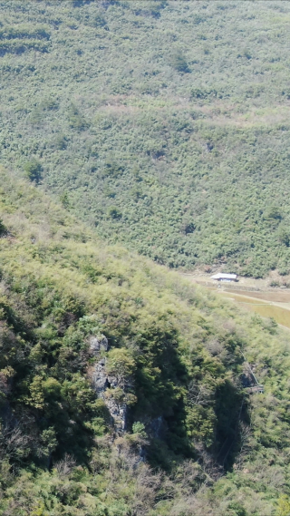 航拍湖南怀化大峡谷竖屏