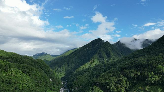 航拍祖国大好河山湖北神农架绿色植物森林